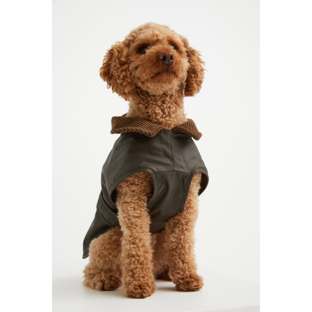 H&M Waxed Dog Coat